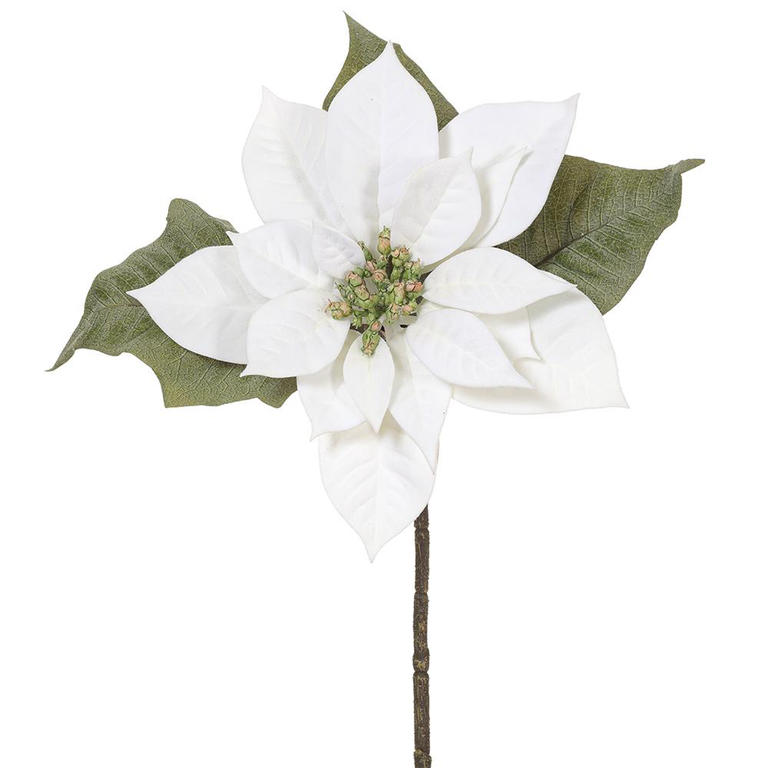 15" Velvet Poinsettia - White