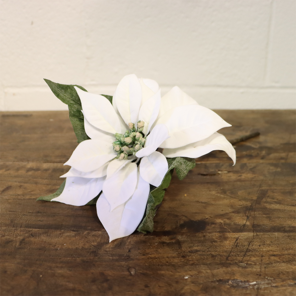 15" Velvet Poinsettia - White