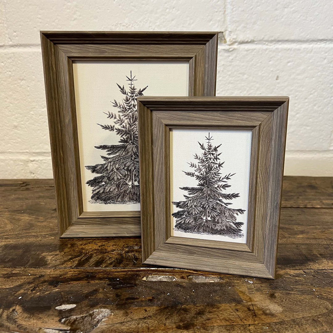 Vintage Pine Tree
