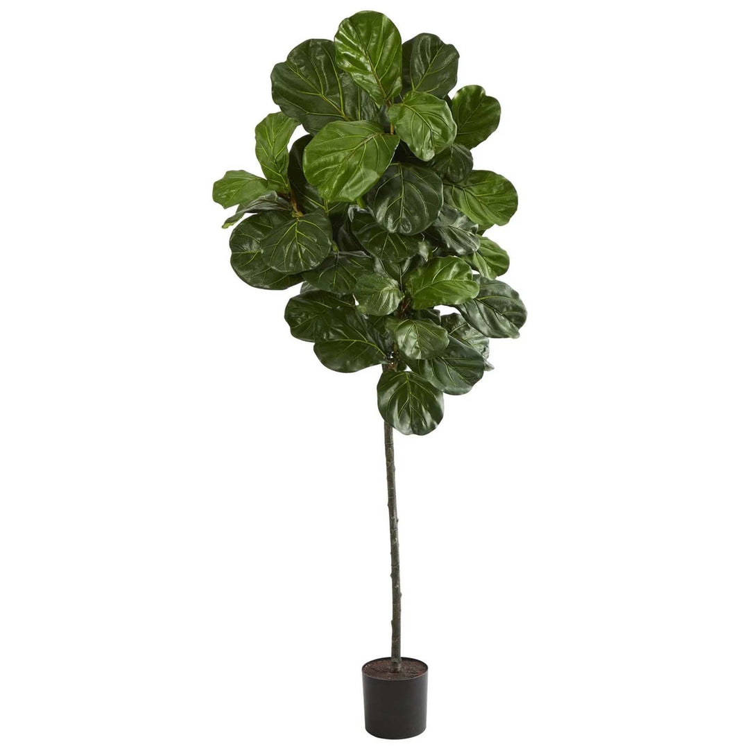 6.5' Fiddle Leaf Tree