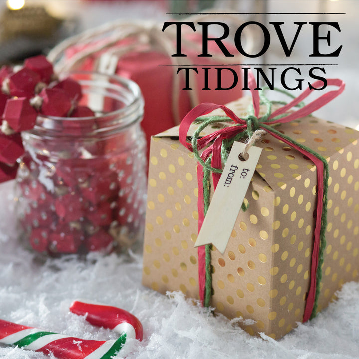 Trove Tidings Adopt-A-Family Wishlist