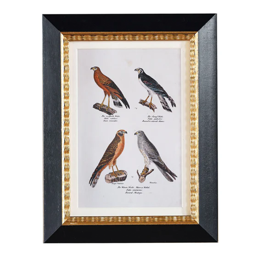 Andover Matted Frame