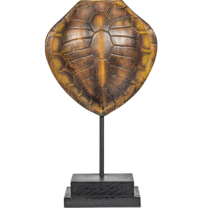 Faux Olive Ridley Turtle Shell