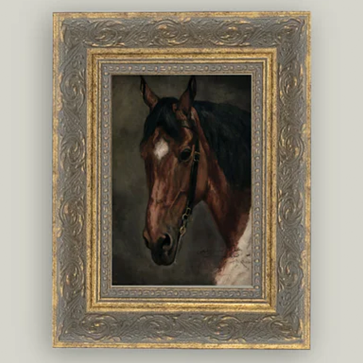 Horse Portrait