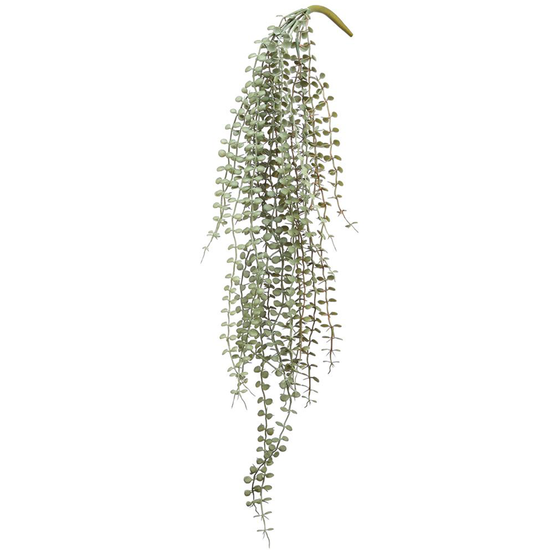 Button Leaf Stem