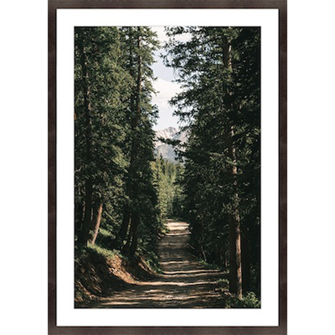Mountain Walkways