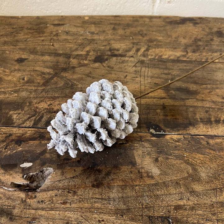 Pinecone Pick