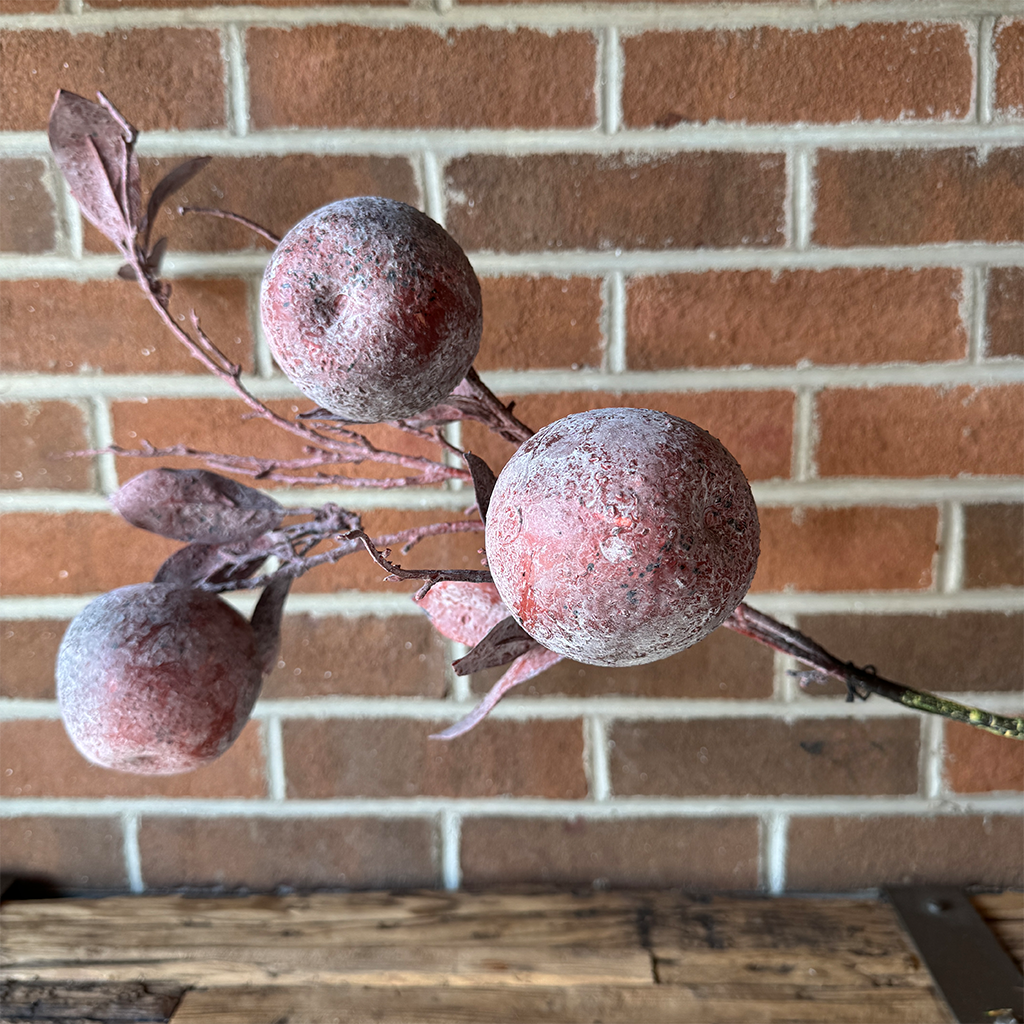 Crab Apple Stem