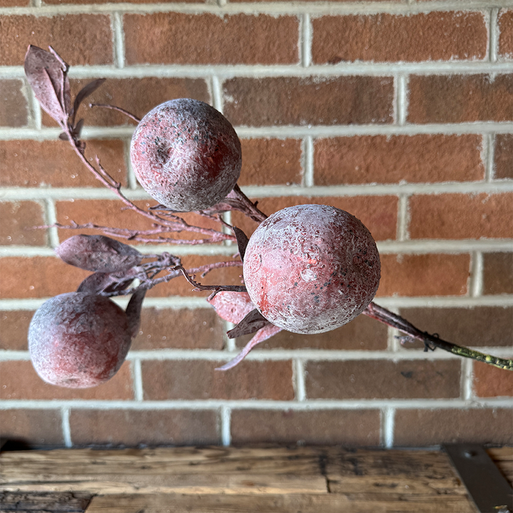Crab Apple Stem