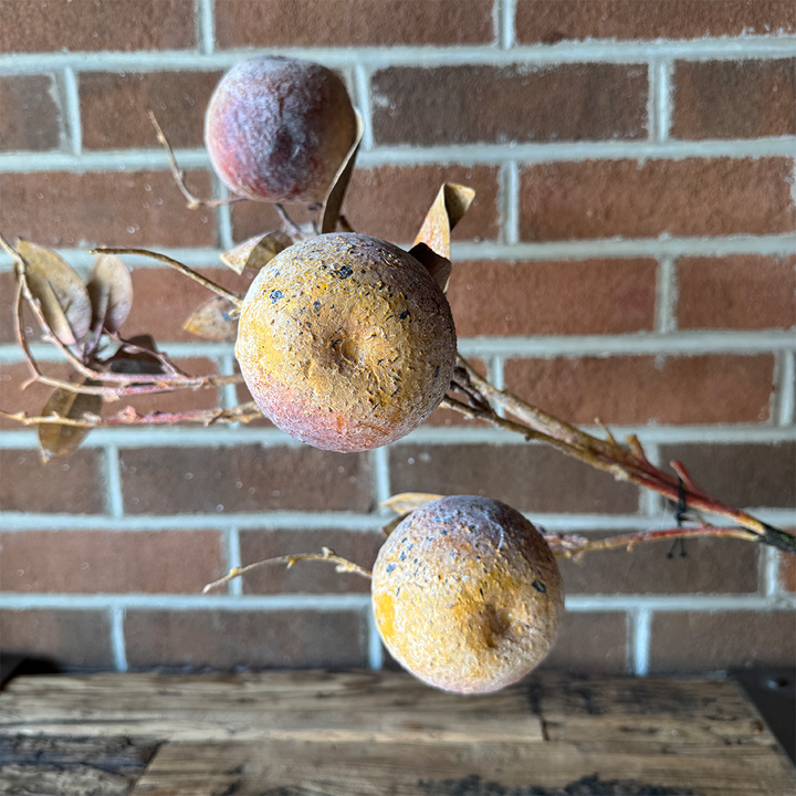 Crab Apple Stem