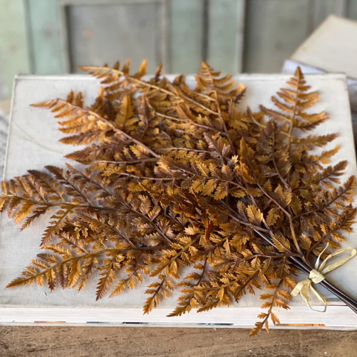 Fern Bundle - Cinnamon