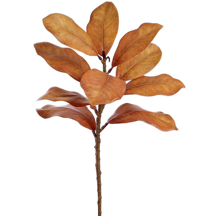 22" Magnolia Leaf Spray