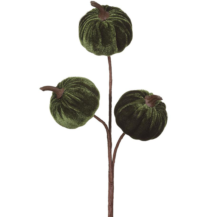11" Velvet Pumpkin -  Green