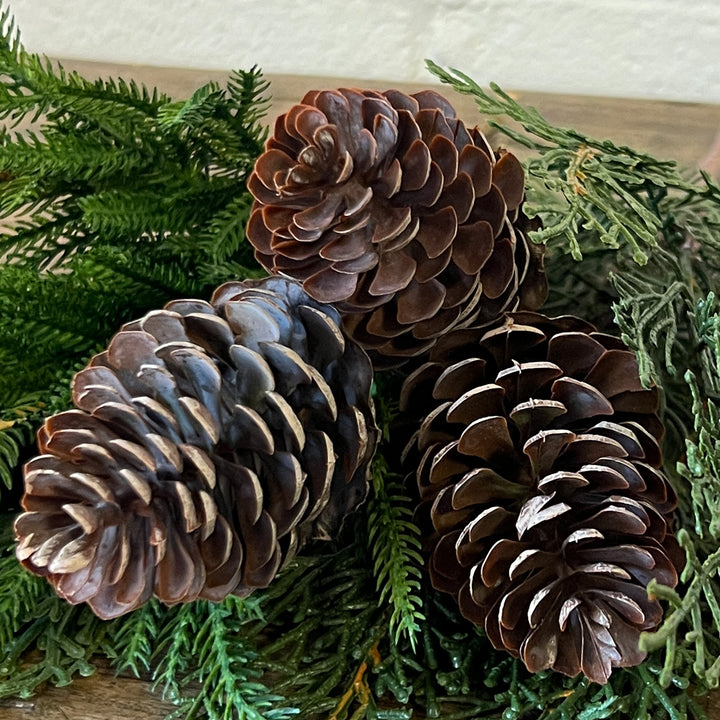 12" Pine Cone