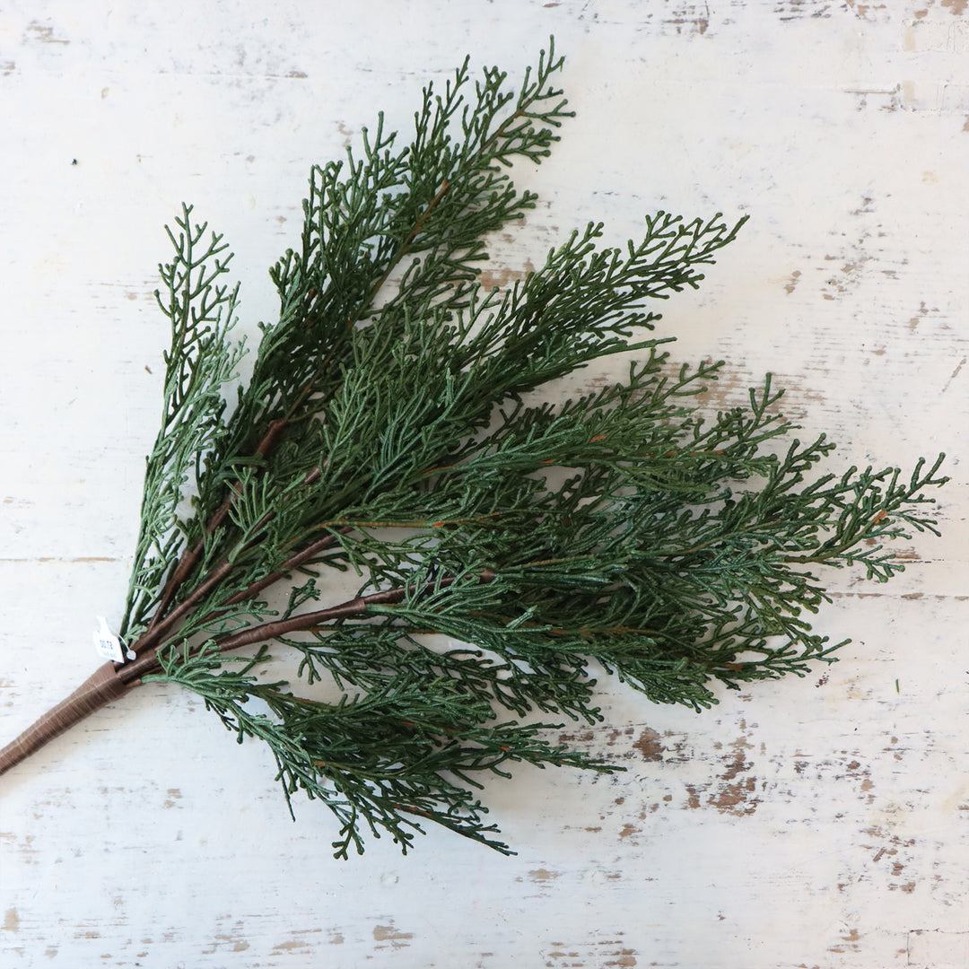 20" Cedar Bush Green