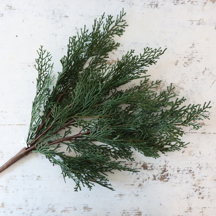 20" Cedar Bush Green