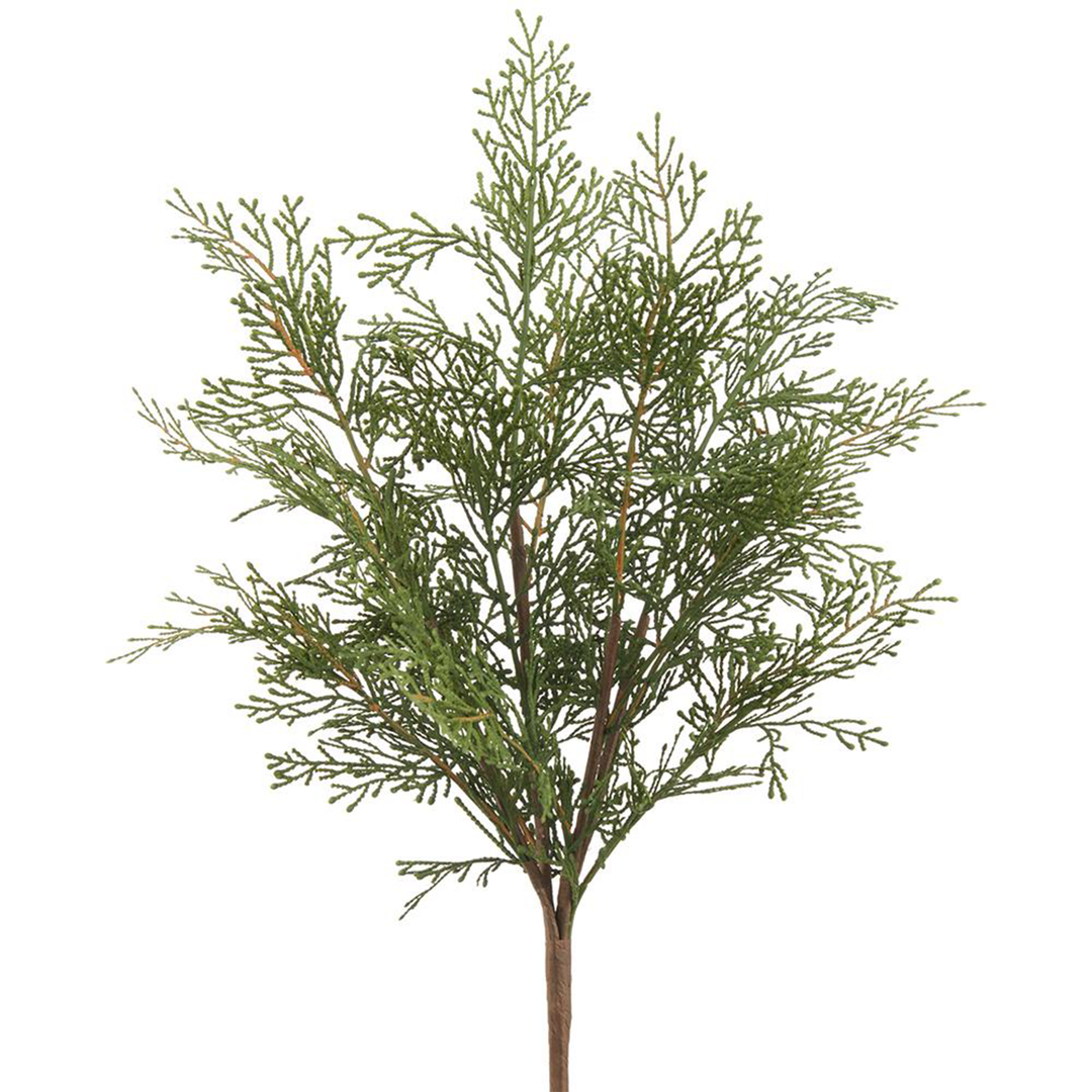 20" Cedar Bush Green