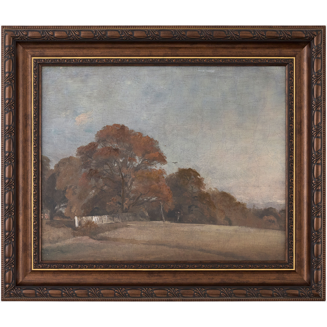 Hayden Falls Framed Art