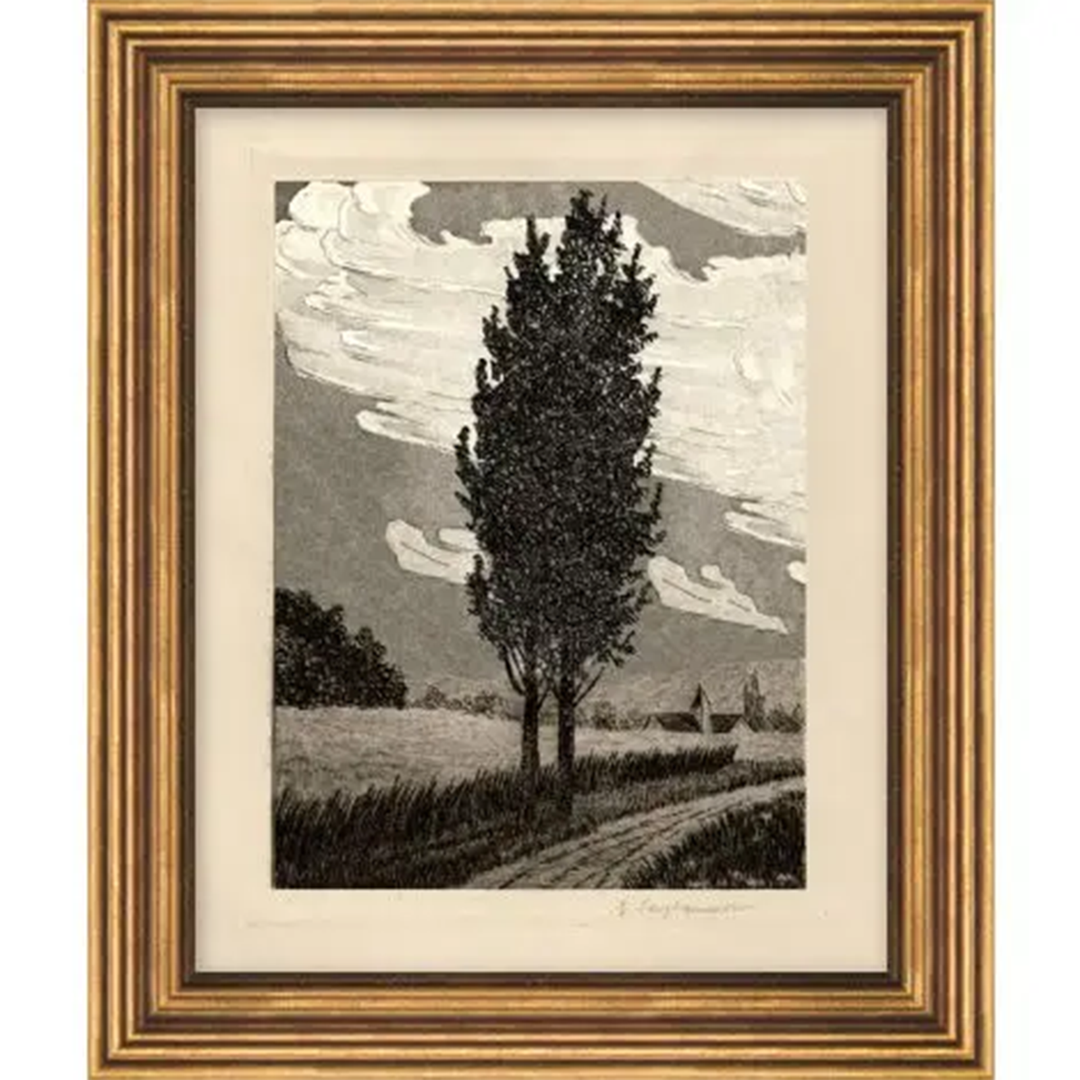 Cypress Tree 2