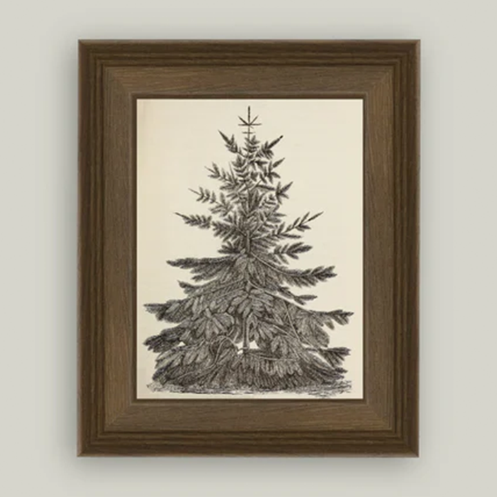 Vintage Pine Tree