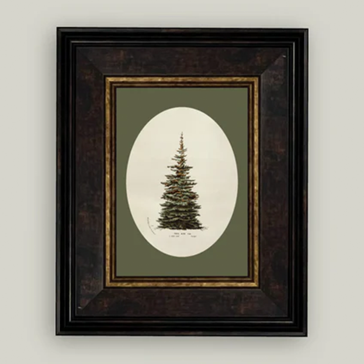 Oval Matte Tree