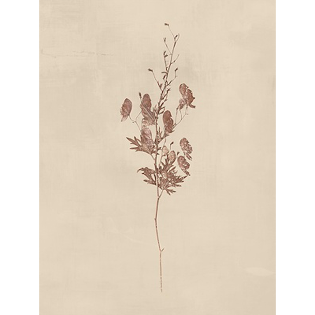 Floral II