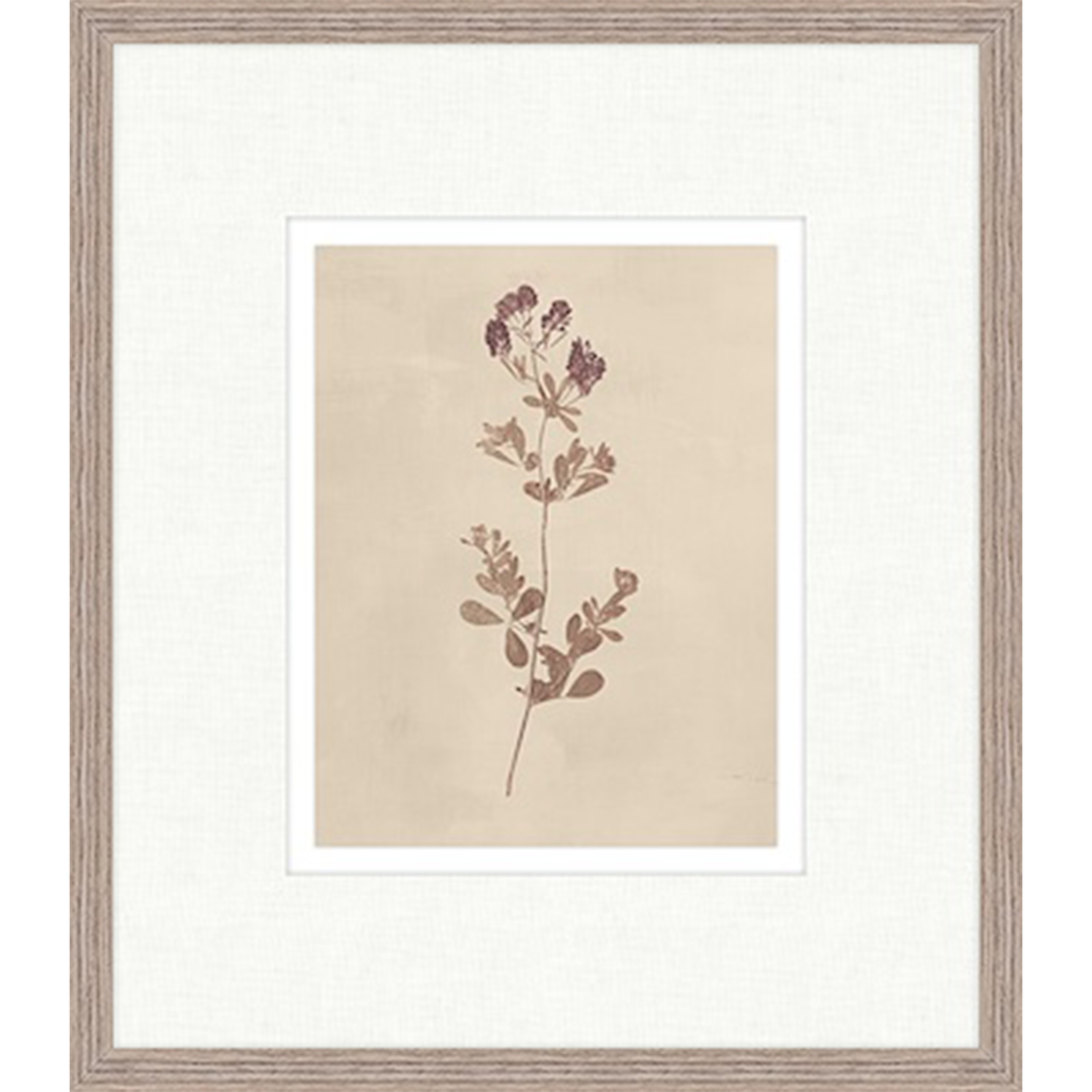 Floral III