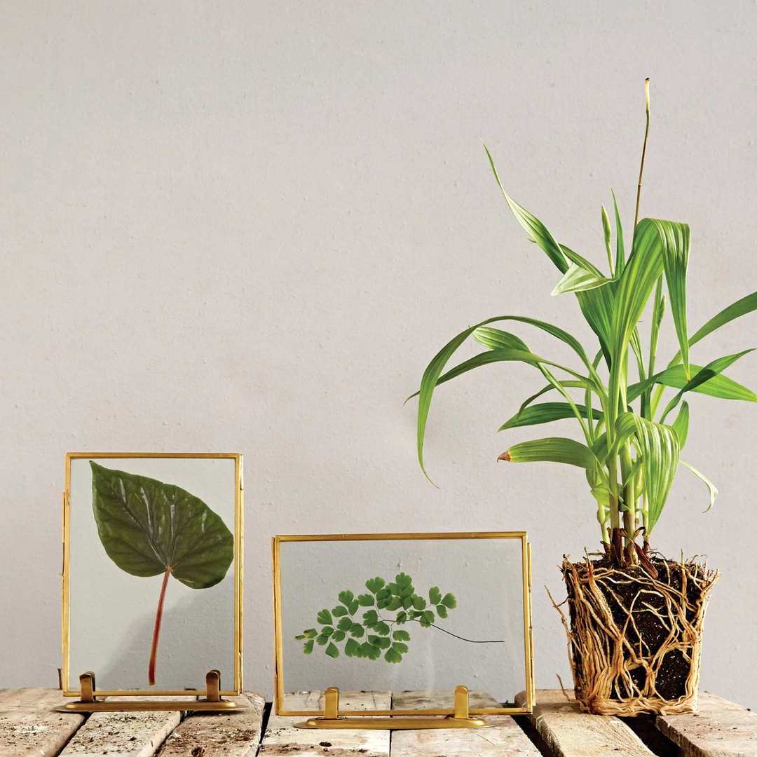 5x7 Brass Photo Frame - Horizontal