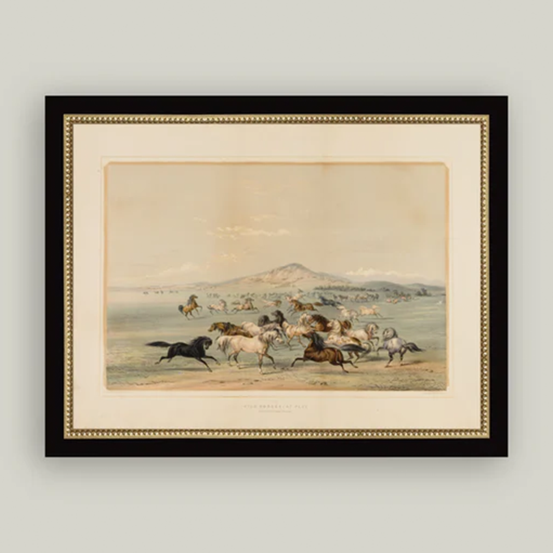 Field of Horses