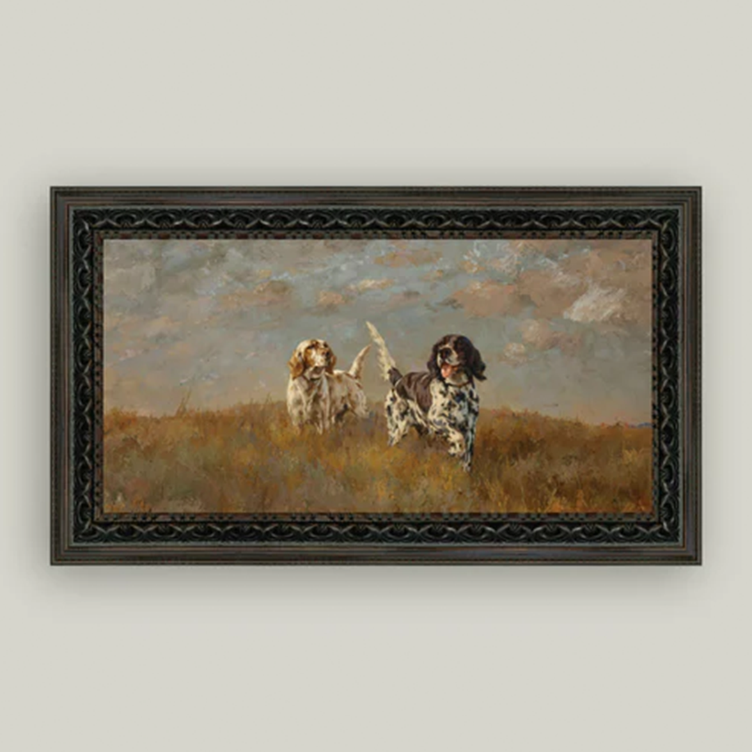 Two Hilltop Setters