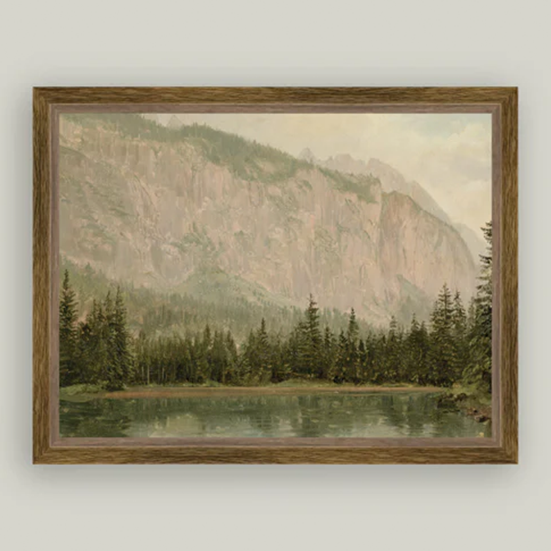 Mountain Pine
