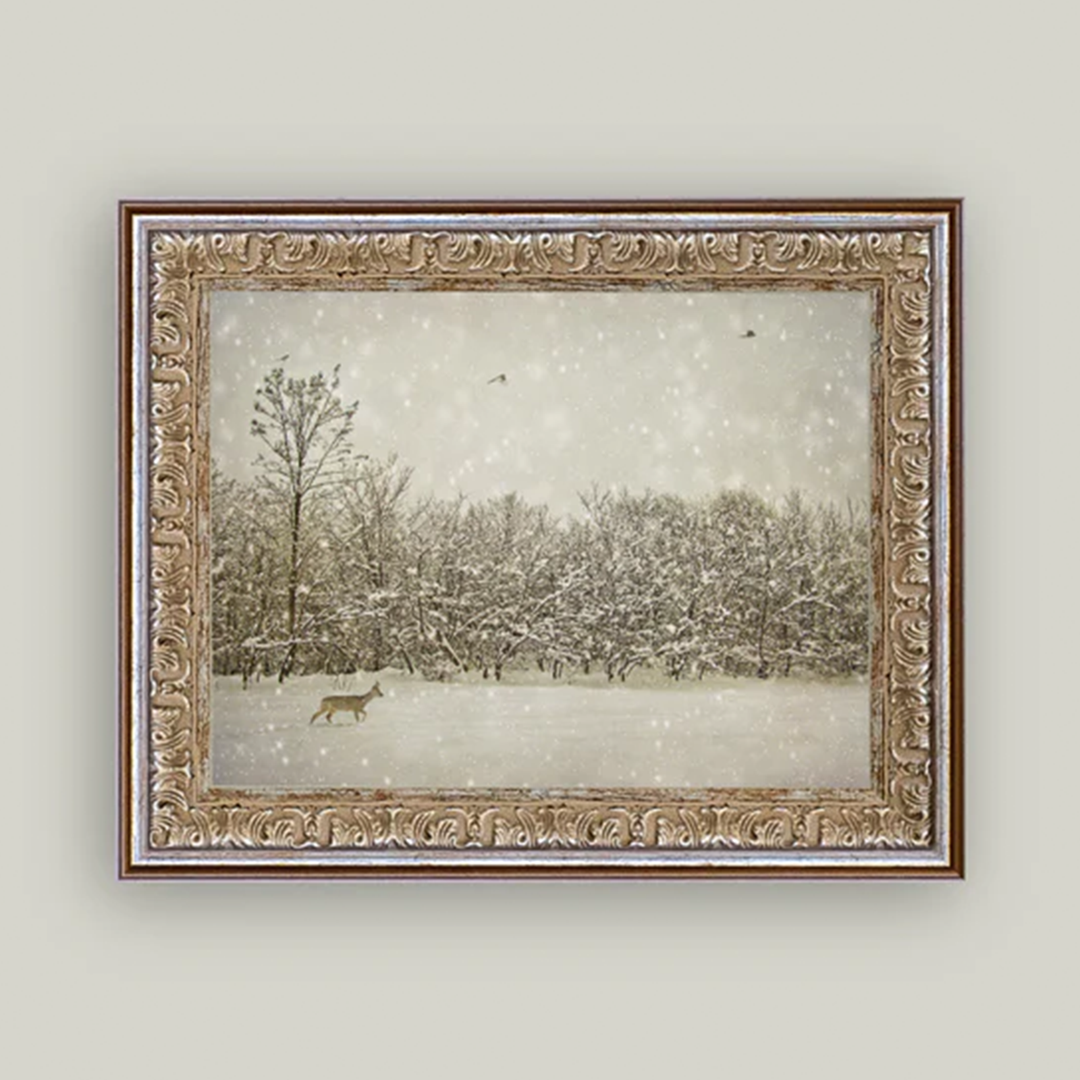 Winter Fawn