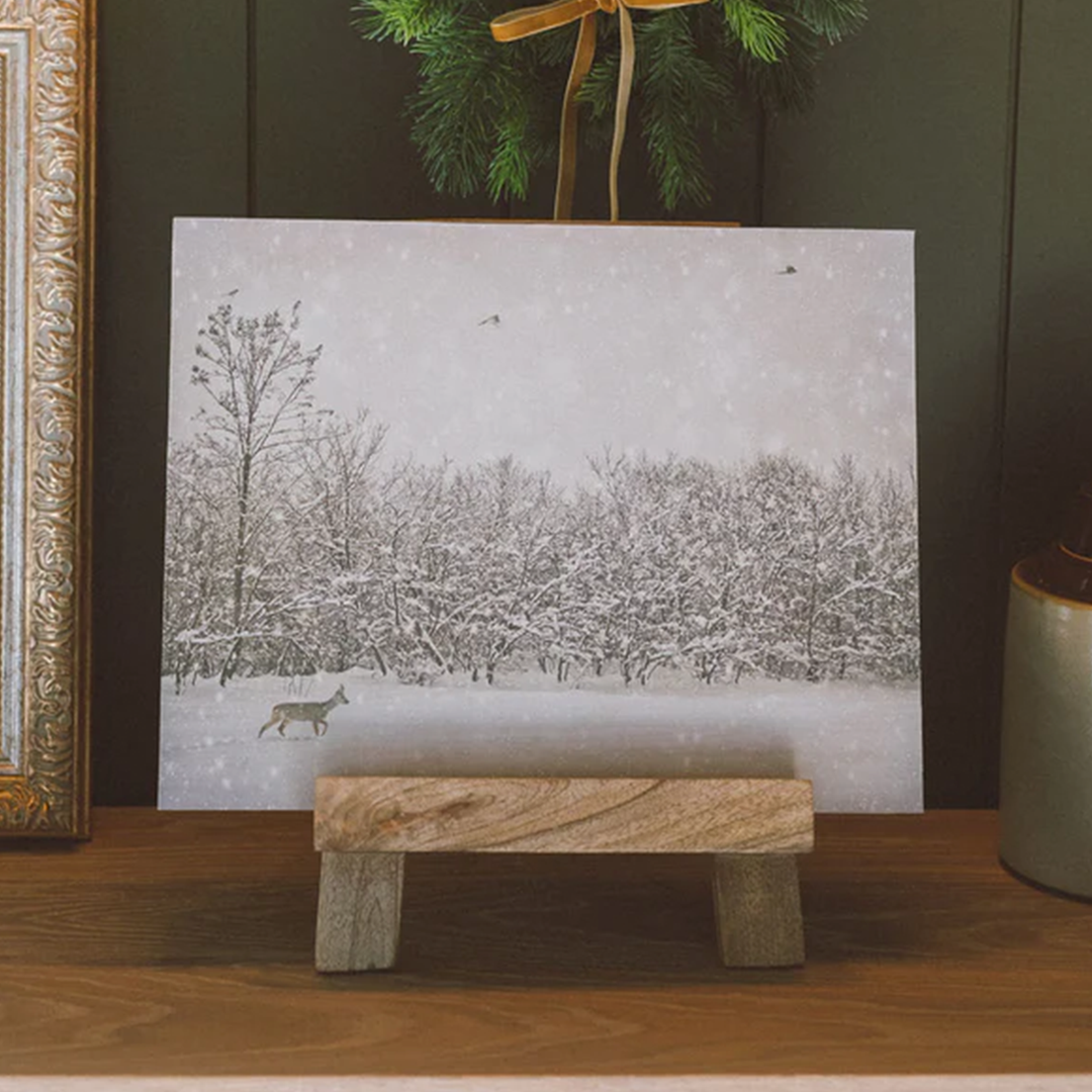 Winter Fawn Artist Board