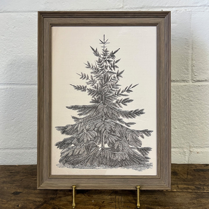 Vintage Pine Tree