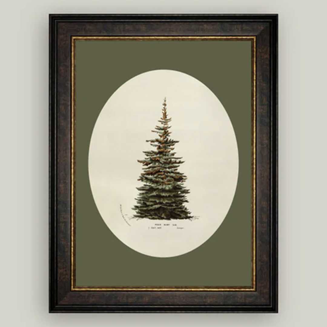 Oval Matte Tree
