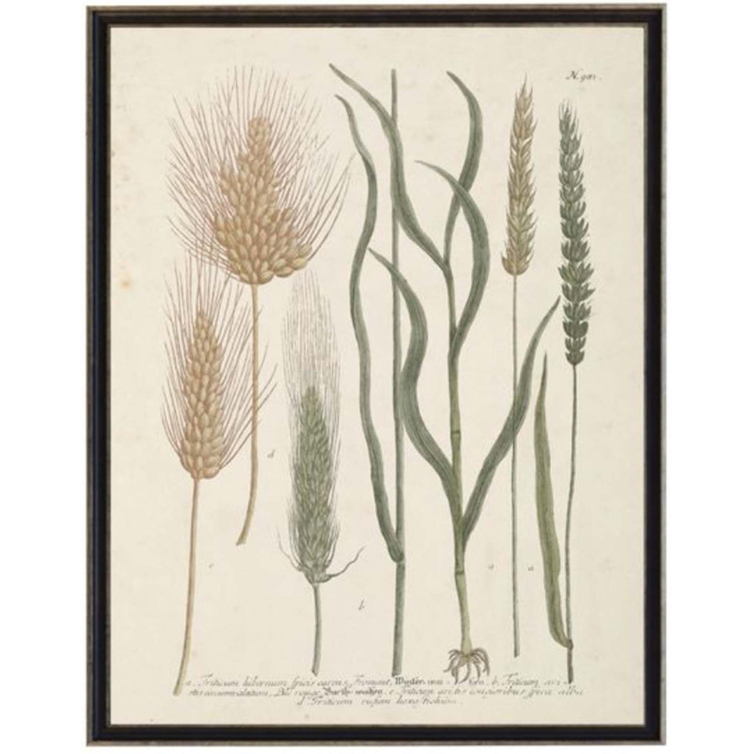 Vintage Winter Wheat