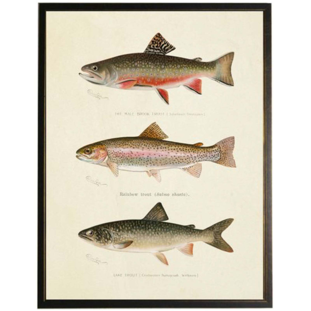 Vintage Trout Fish