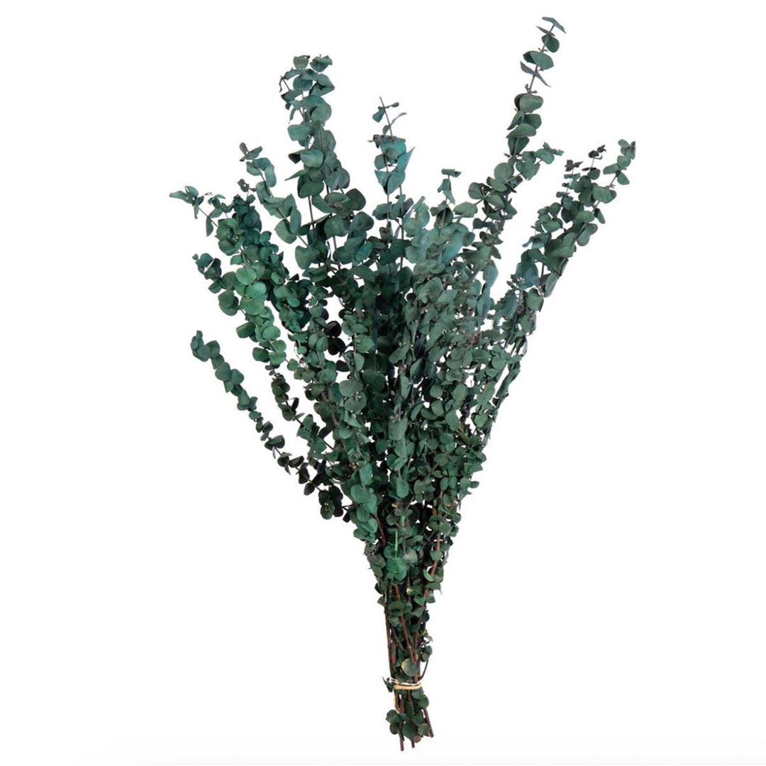 Preserved Eucalyptus Bundle - Satin Green