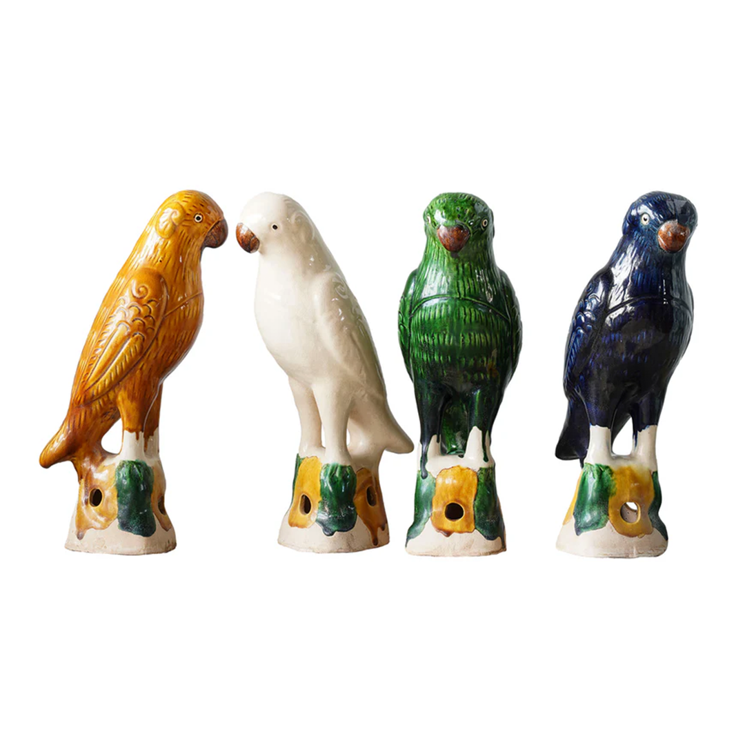 Colorful Birds