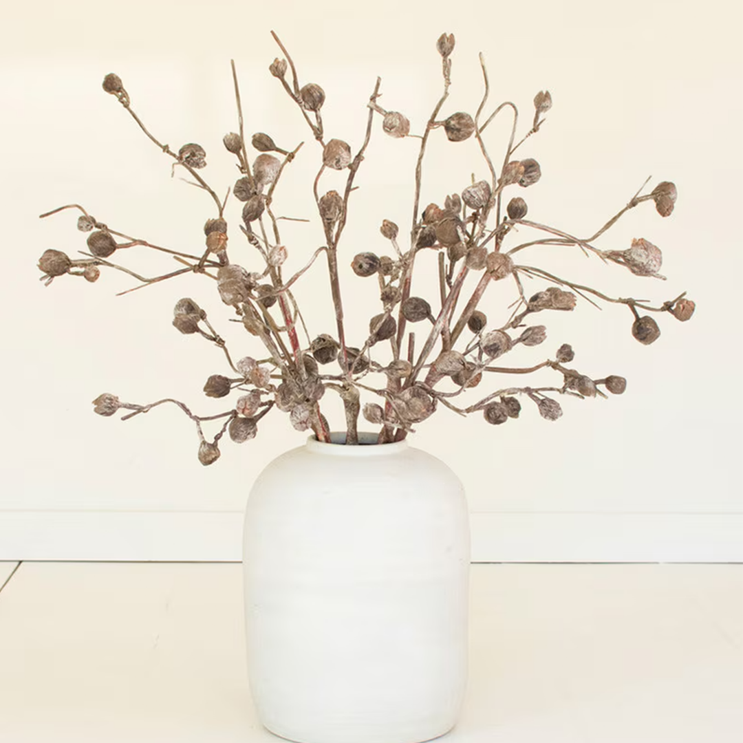 Botanica #2863