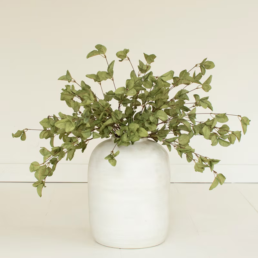 Botanica #9035