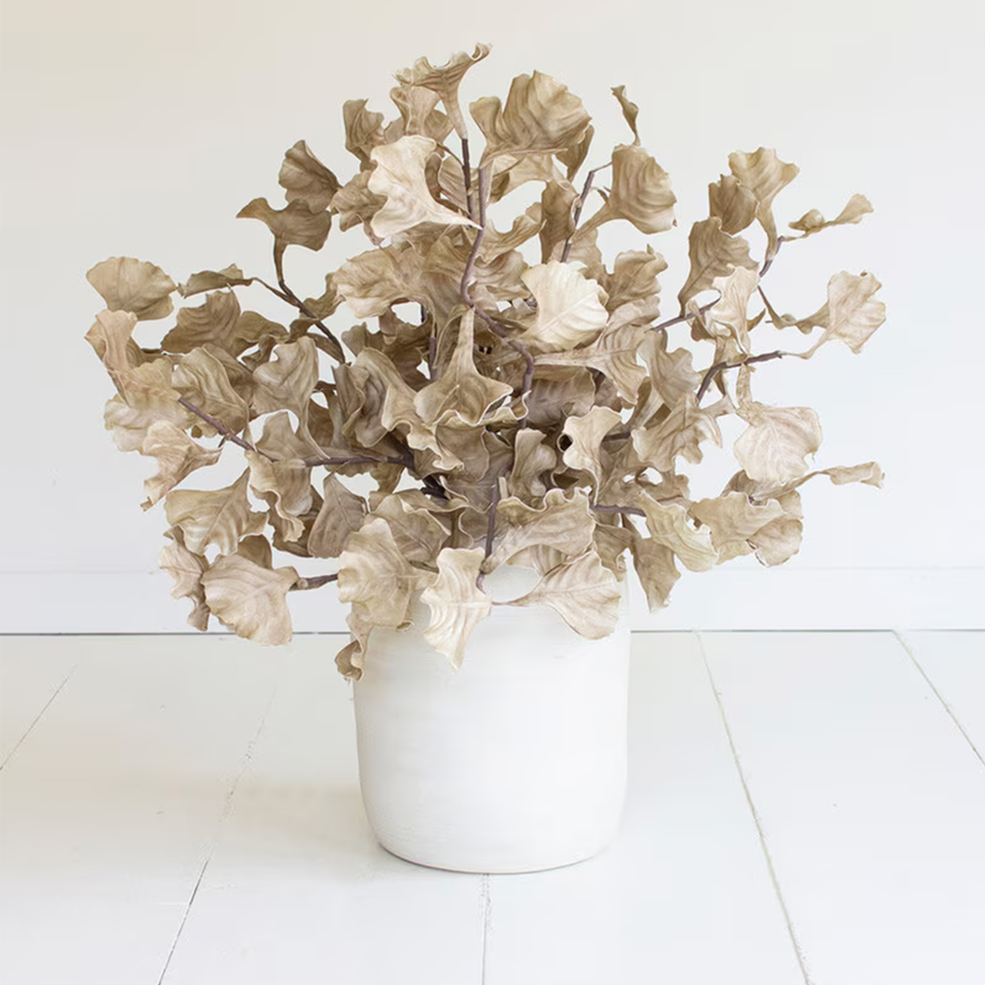 Botanica #3558