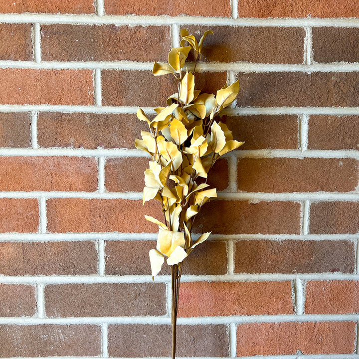 Botanica #9035