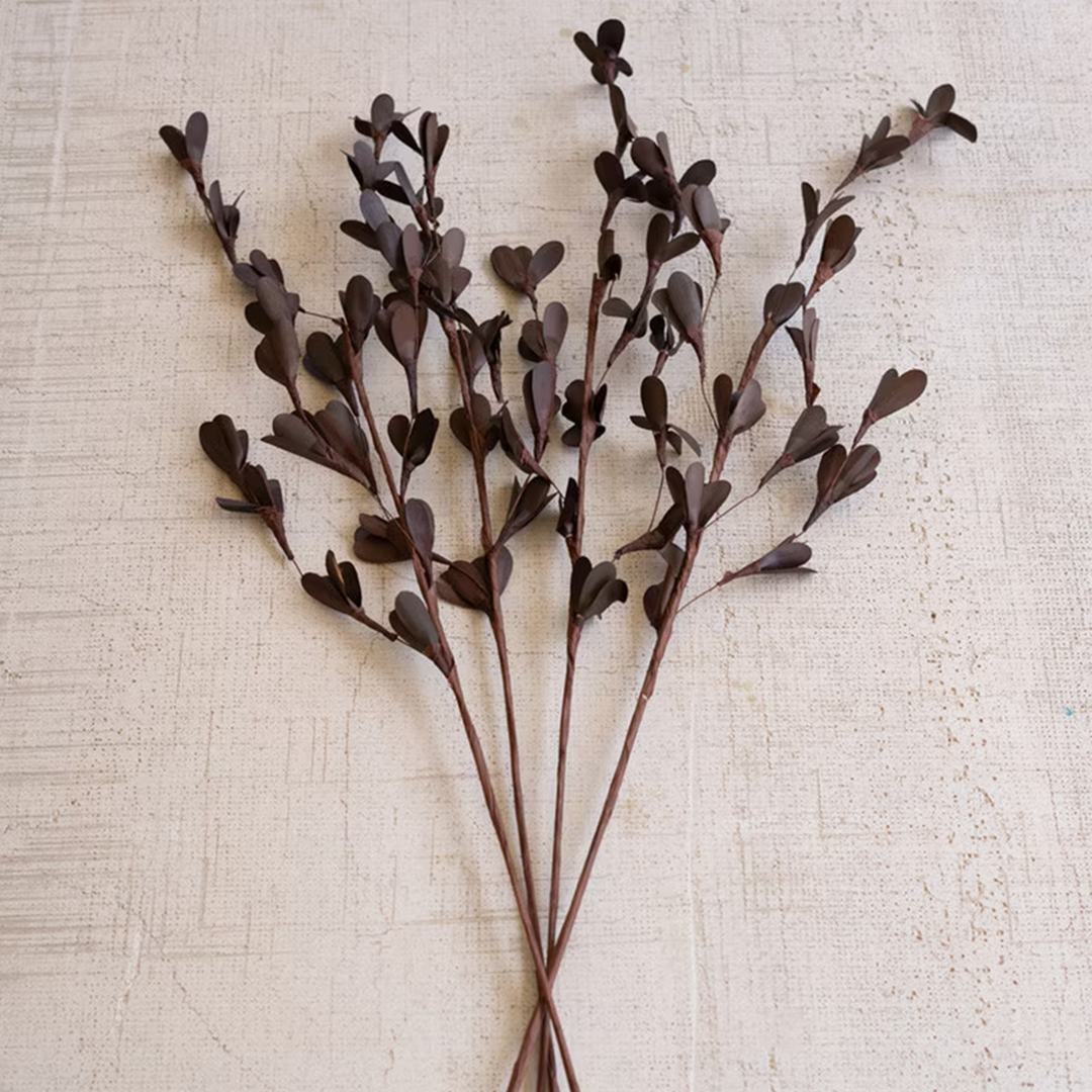 Dried Rug Stick