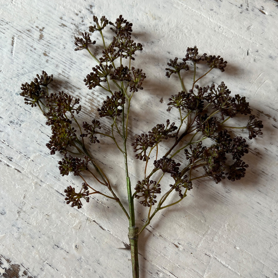 Sedum Spray