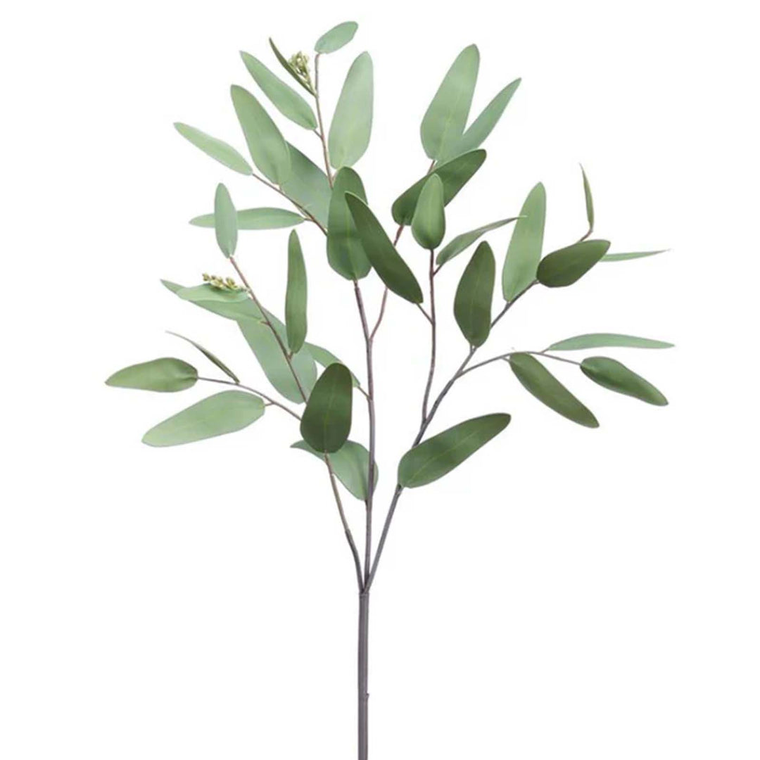 Eucalyptus Spray