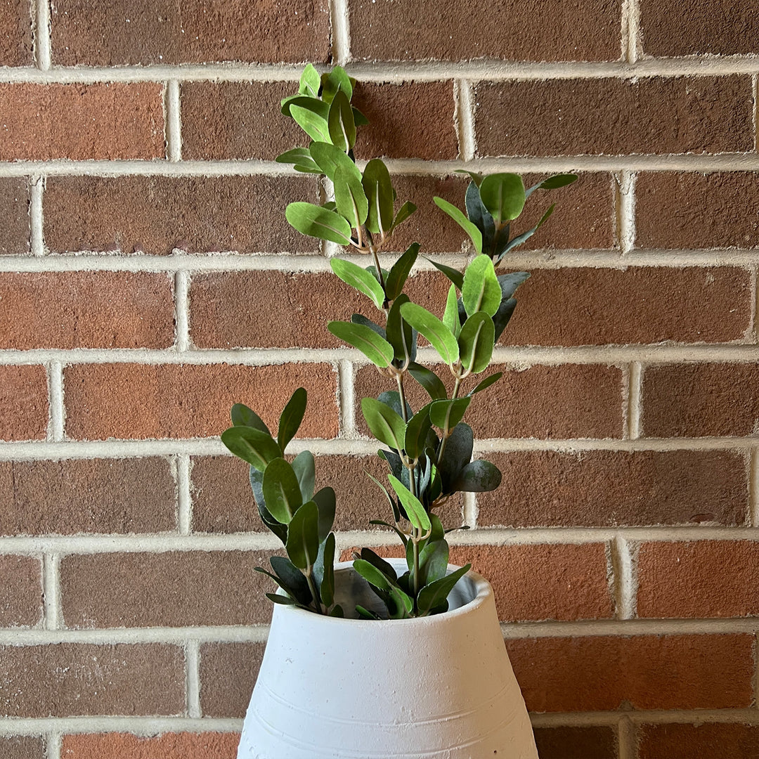 Huckleberry