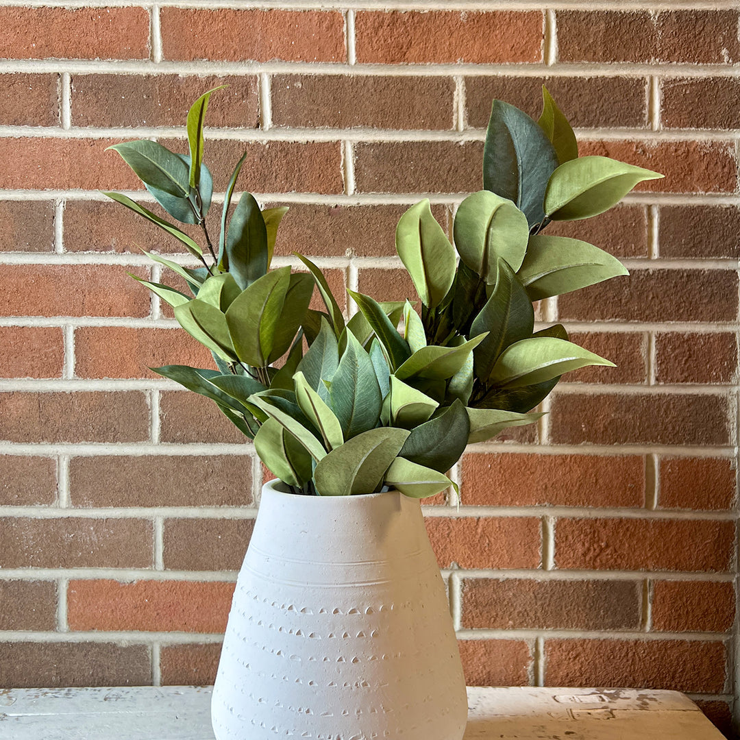 Eucalyptus Spray