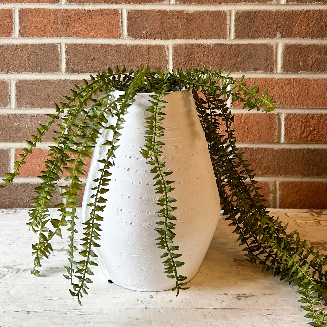 Fern Hanging Bush