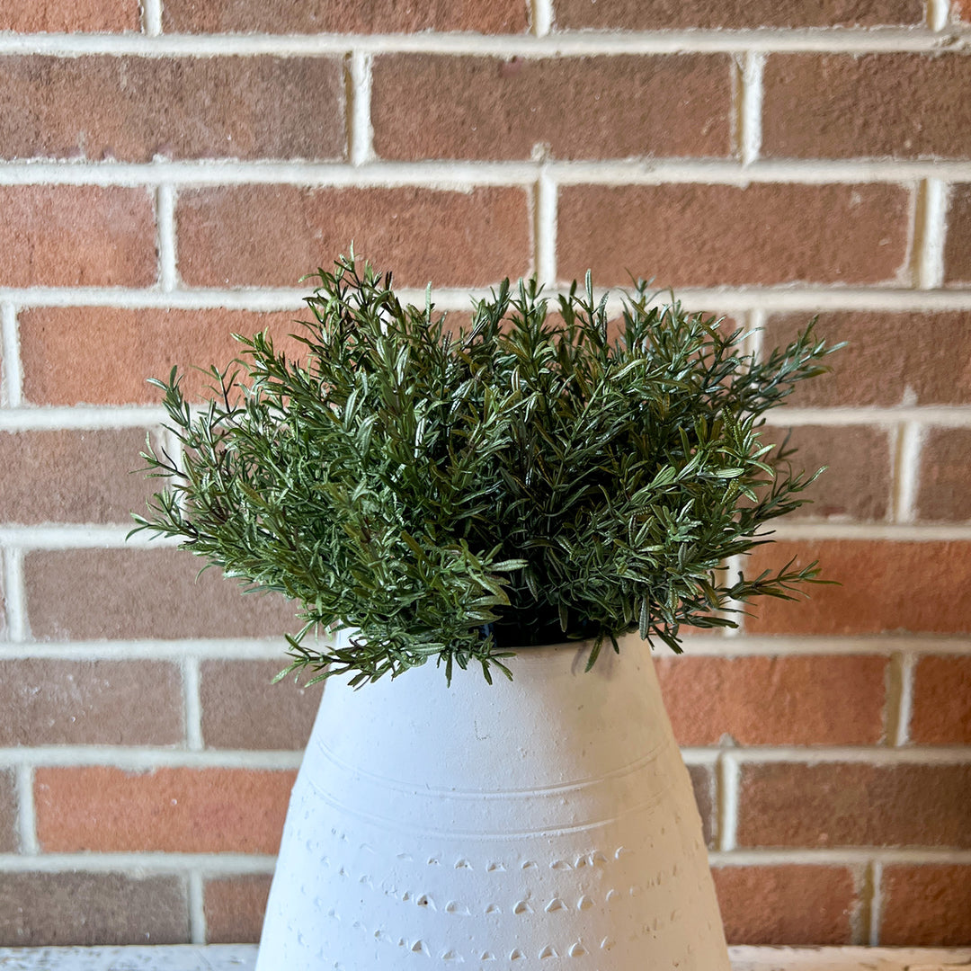 Rosemary Bush